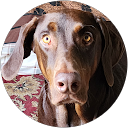 Quentin Brenner profile picture